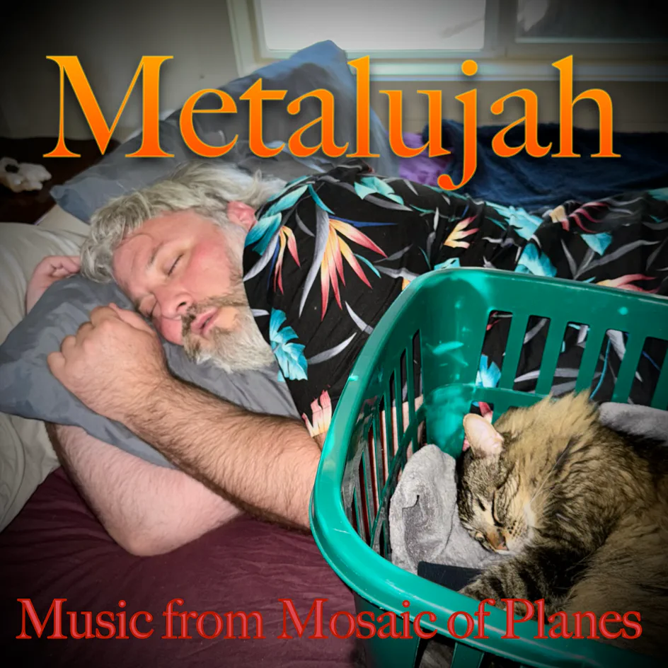Metalujah: Music from Mosaic of Planes — album cover showing a man asleep in bed beside a cat curled up in a laundry basket